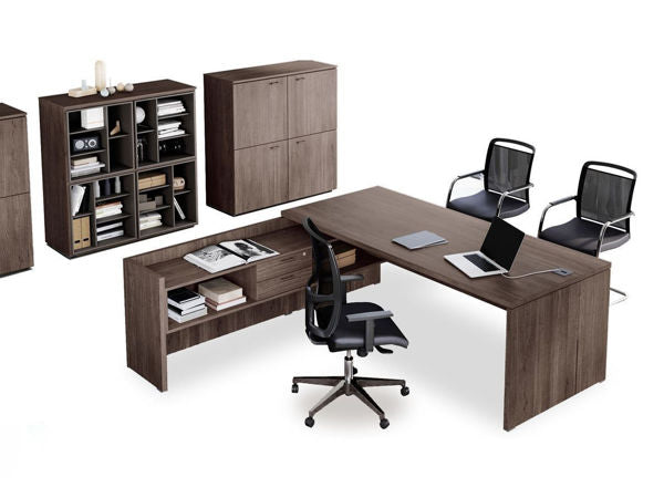 Birou Directorial Delta