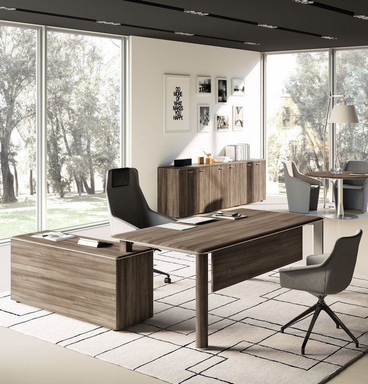 Birou Directorial Iulio