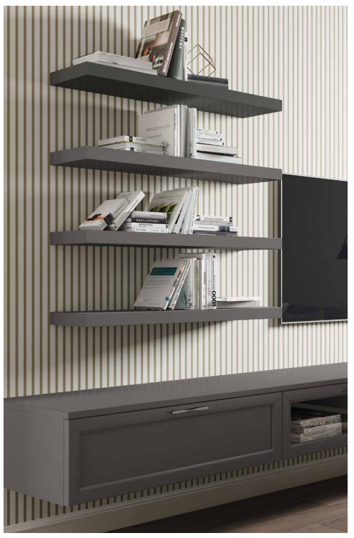 COMPOZITIE DE LIVING AS 108