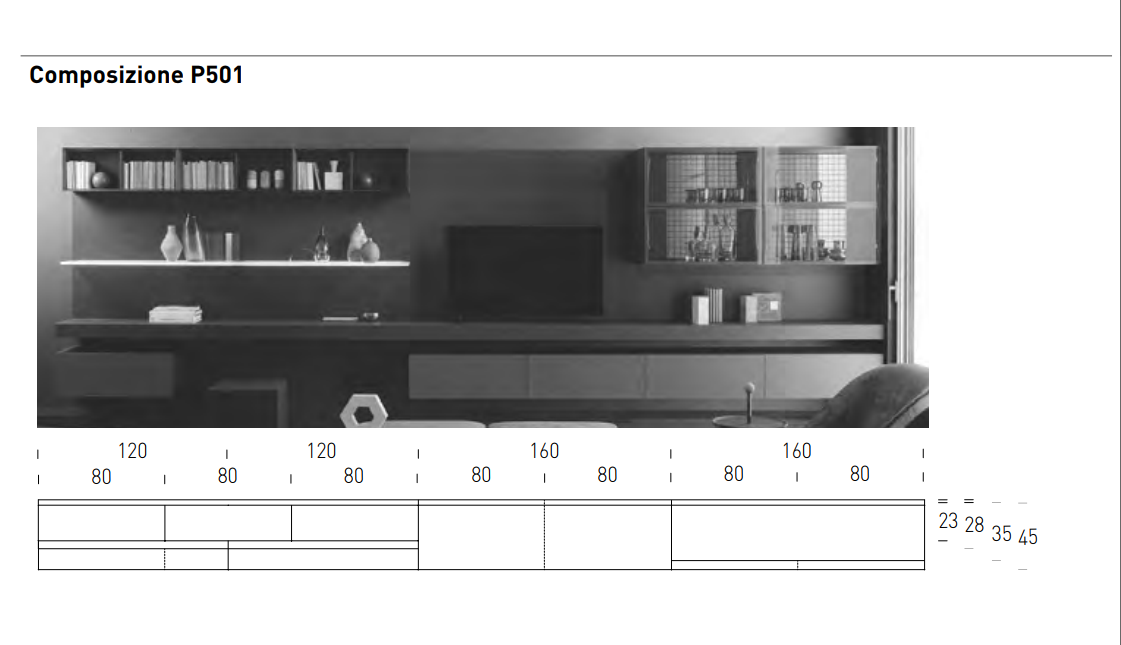 COMPOZITIE DE LIVING P 501