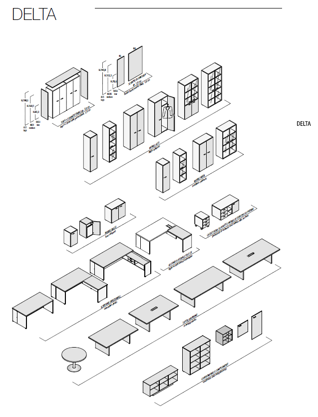 Birou Directorial Delta
