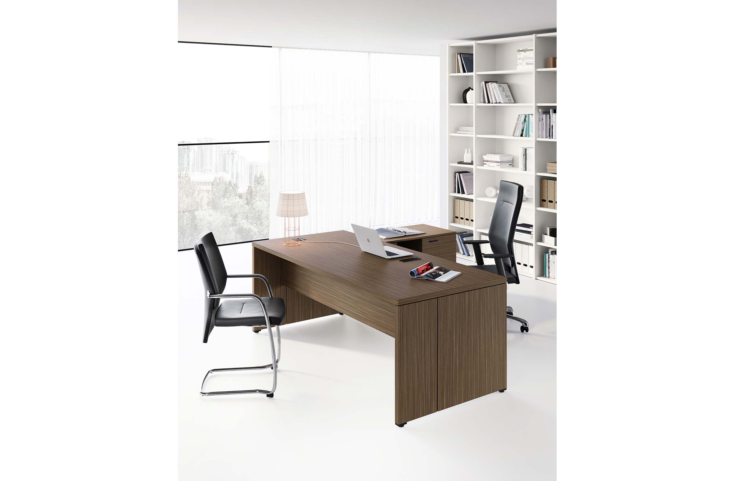 Birou Directorial Delta