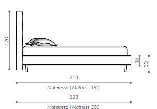 Pat matrimonial D.o.t.s.