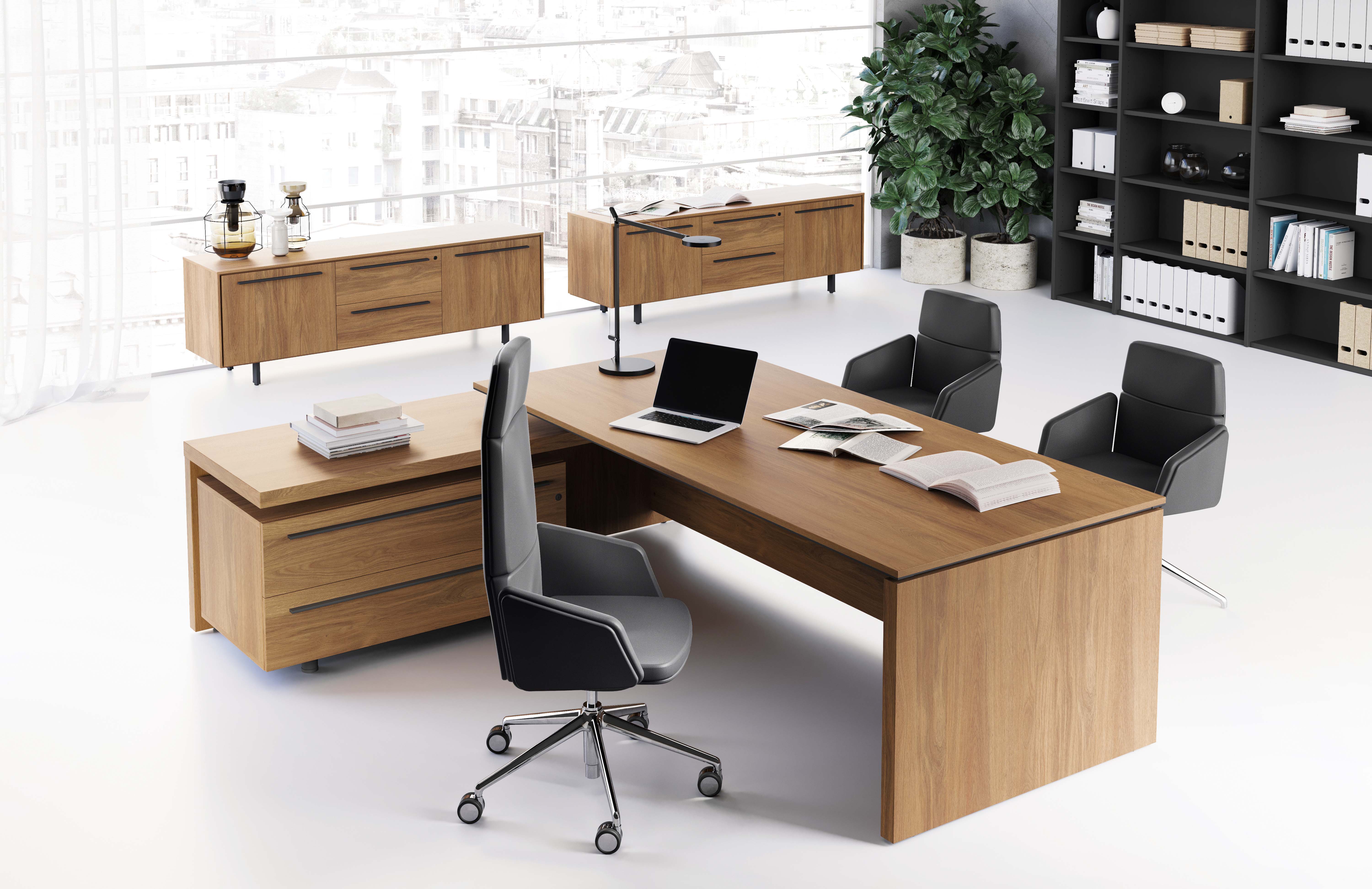 Birou Directorial EOS