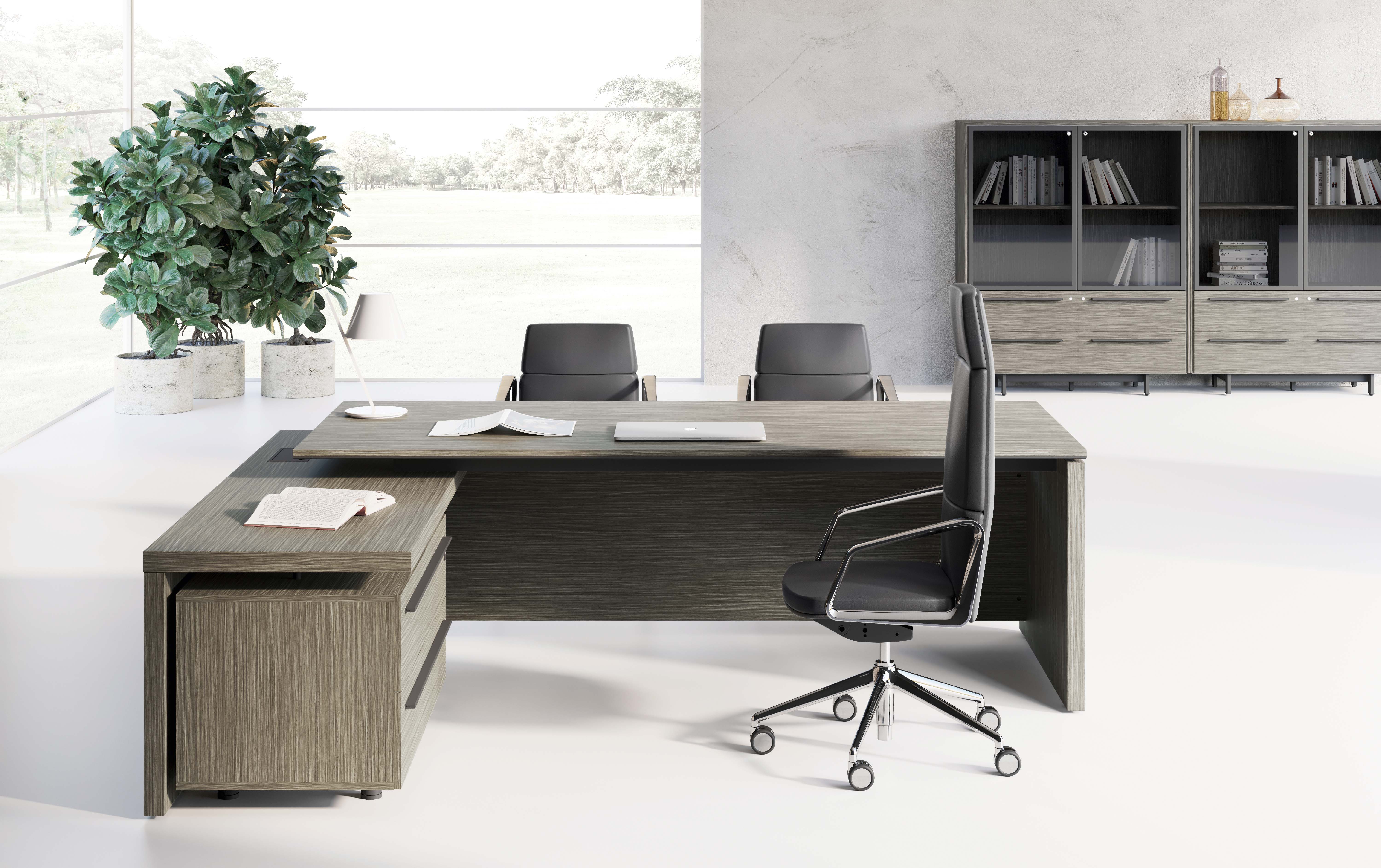 Birou Directorial EOS