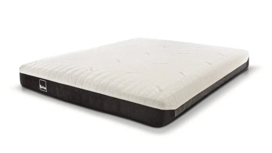 SALTEA PREMIUM AERON