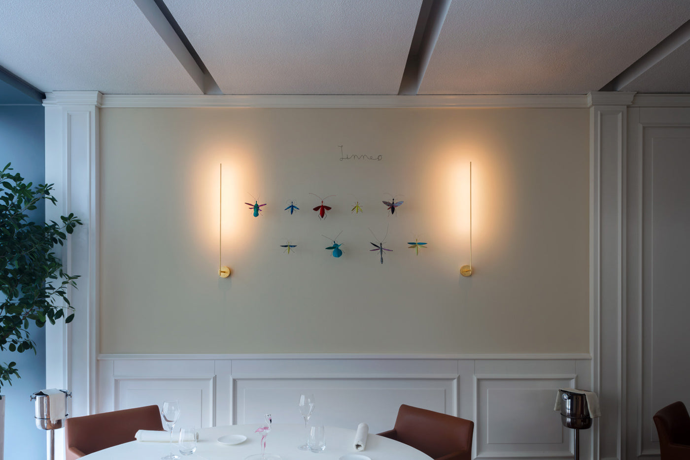 Aplica Light Stick V