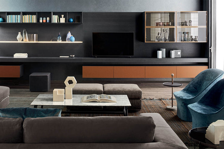 COMPOZITIE DE LIVING P 501