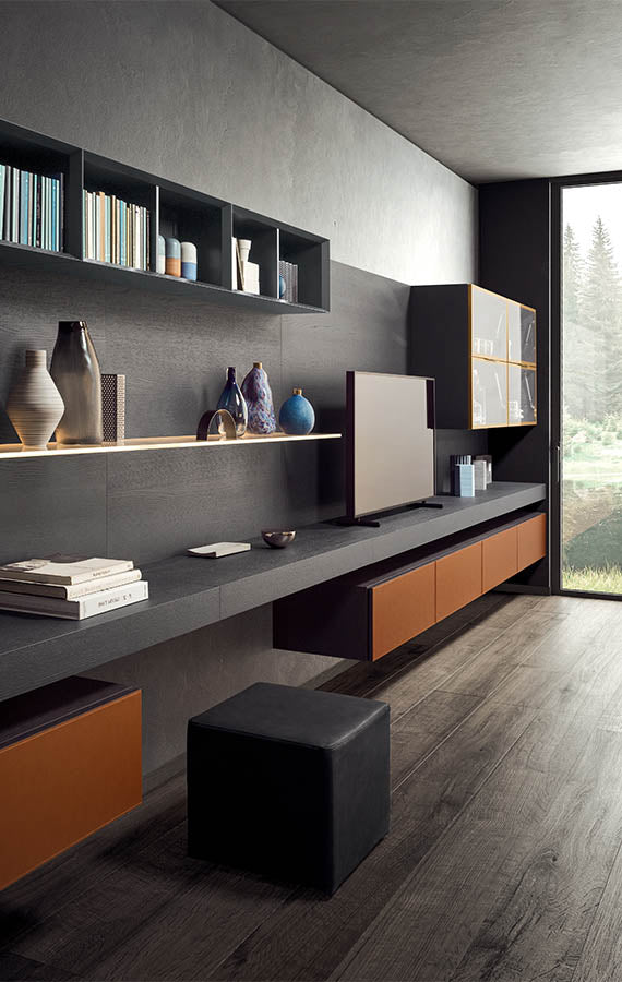 COMPOZITIE DE LIVING P 501