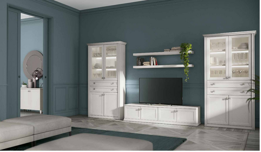 COMPOZITIE DE LIVING AS 111