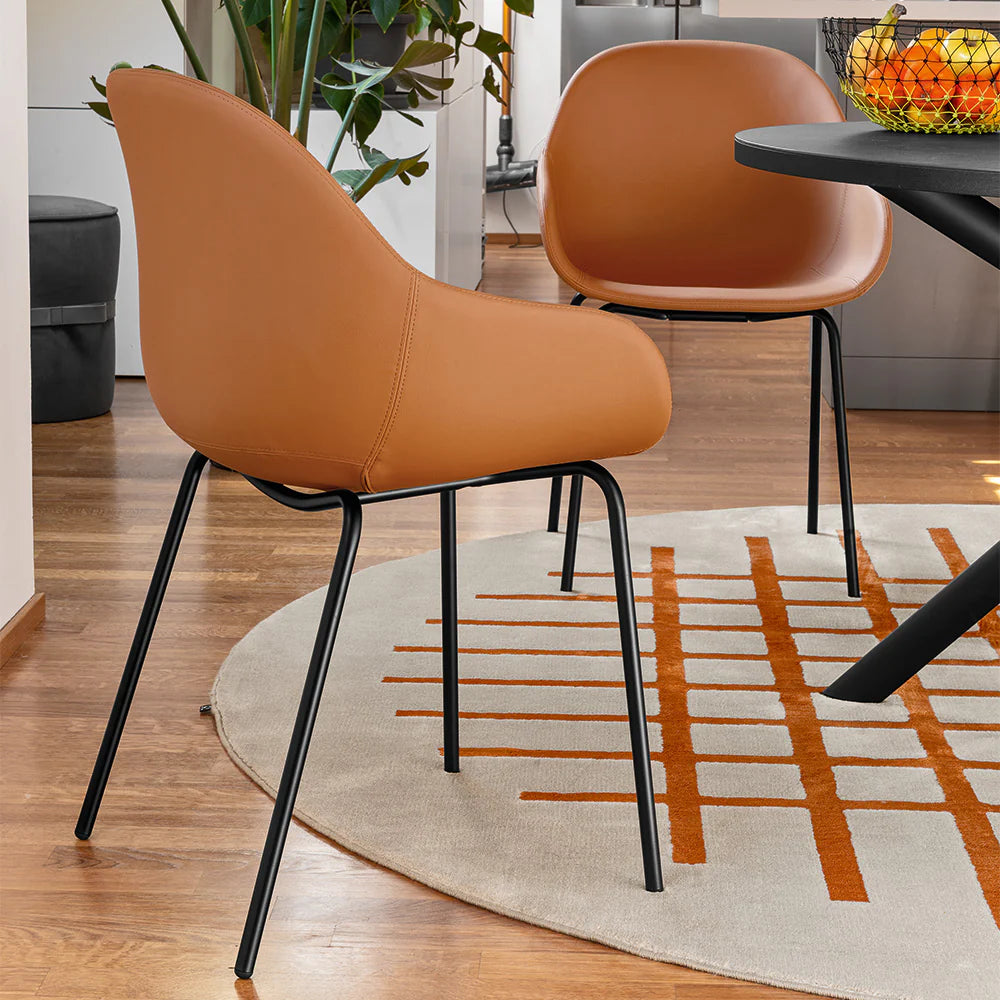 SCAUN ACADEMY CB 2137