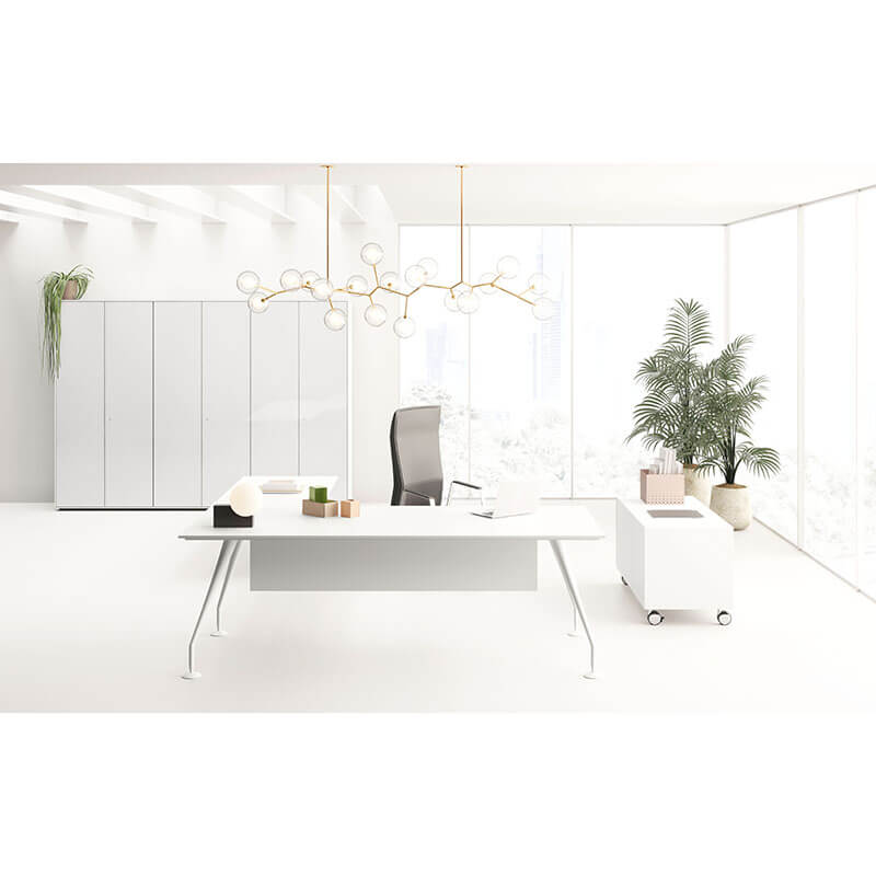 Birou Directorial Enosi