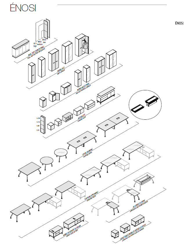 Birou Directorial Enosi