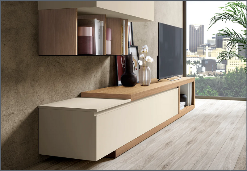 COMPOZITIE DE LIVING L101