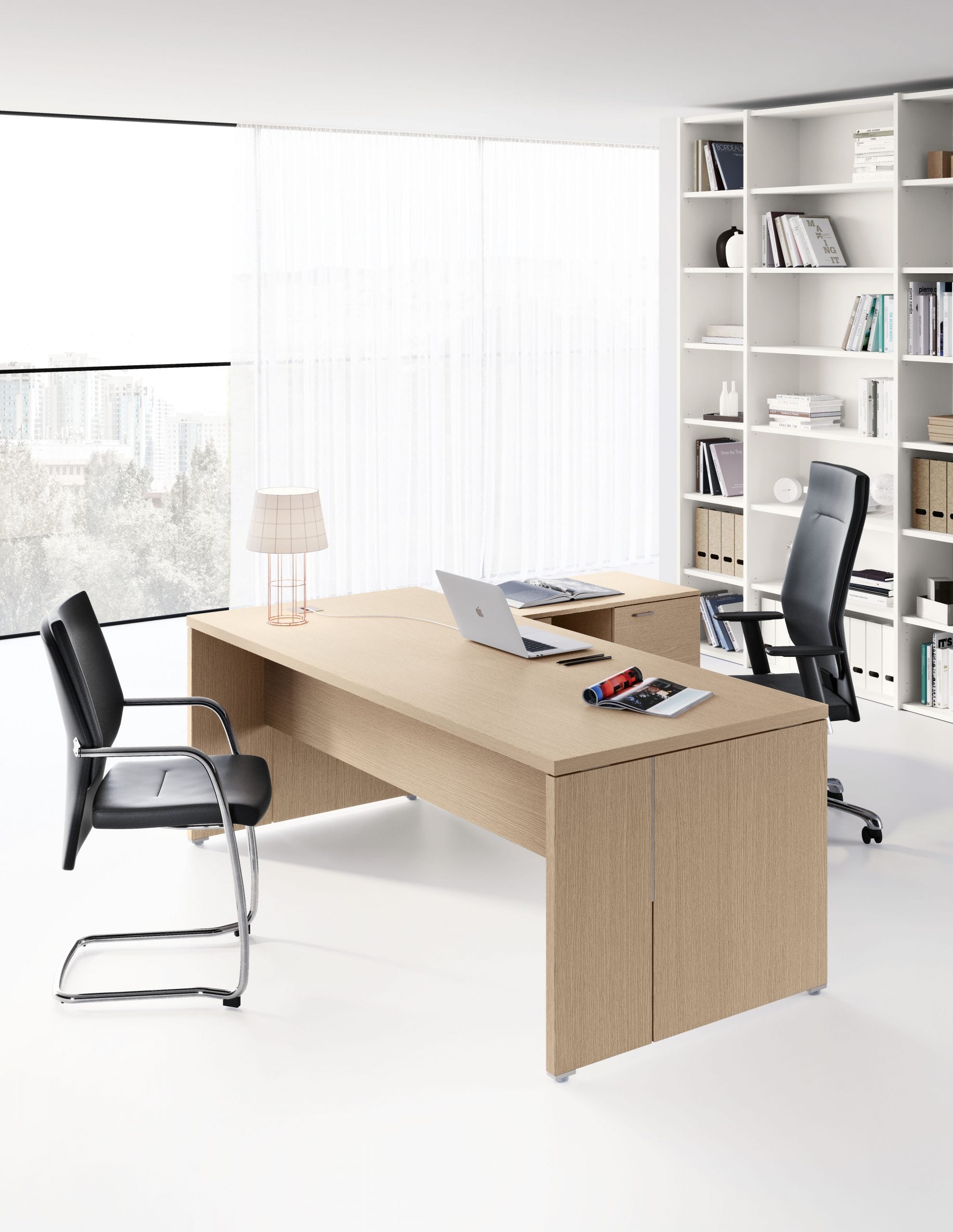 Birou Directorial Delta