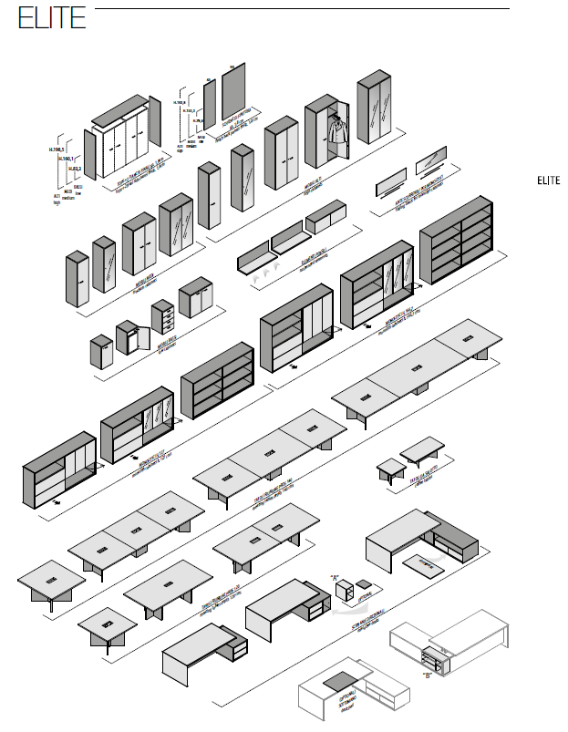 Birou Directorial Elite