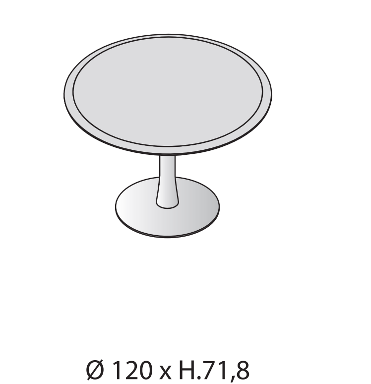 Masa de conferinte Iulio