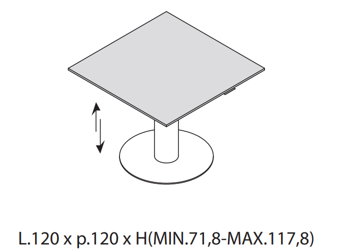 Masa de intalniri Seguo