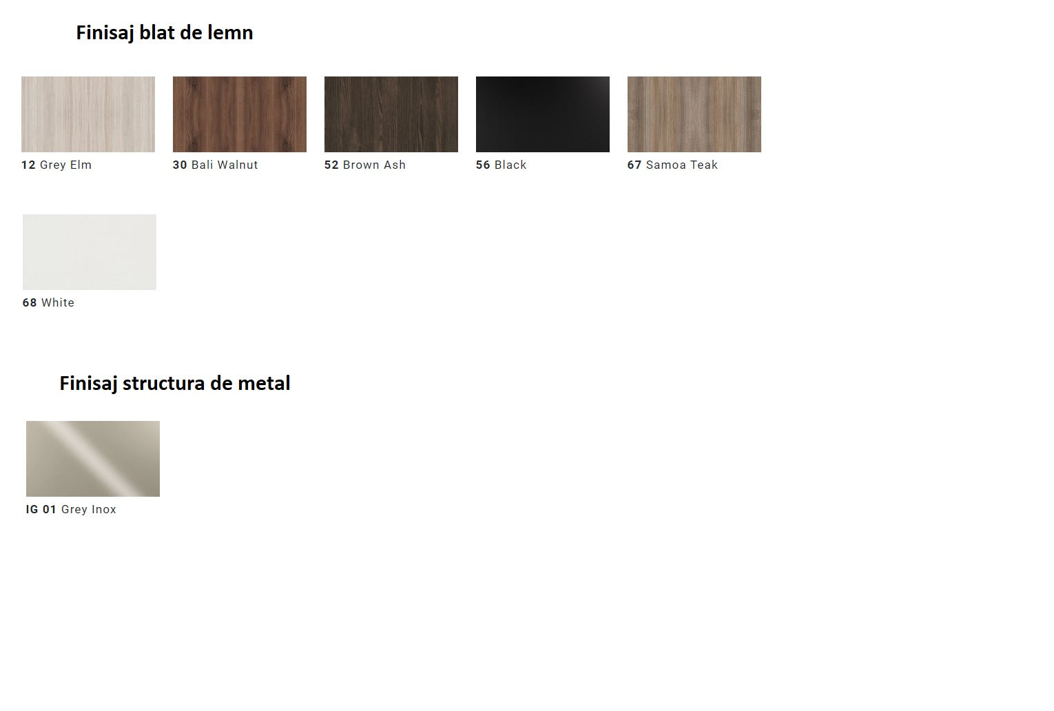 Masa de conferinte Iulio