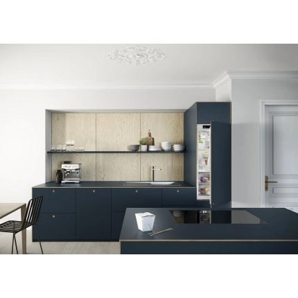 Frigider incorporabil Liebherr IRBd 4120