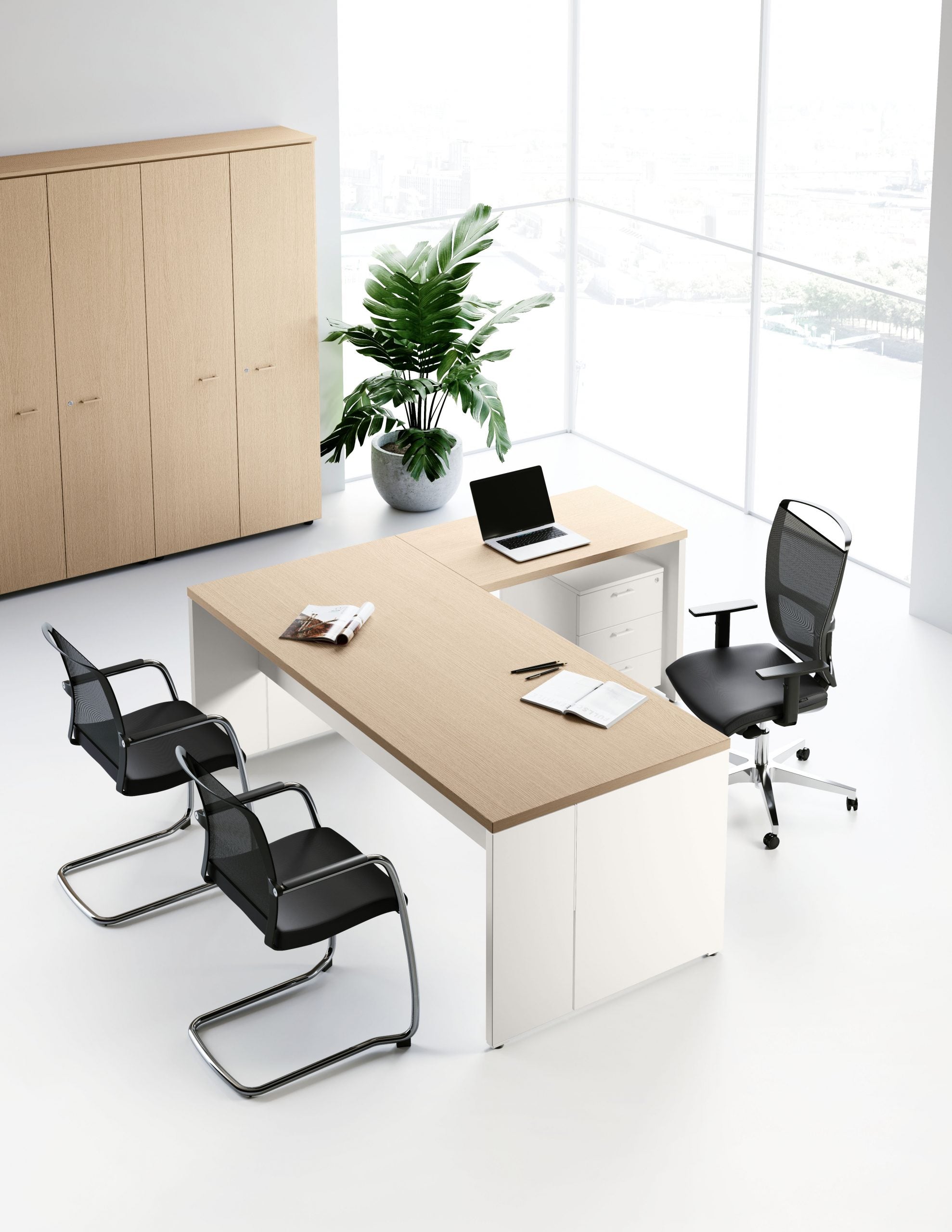 Birou Directorial Delta