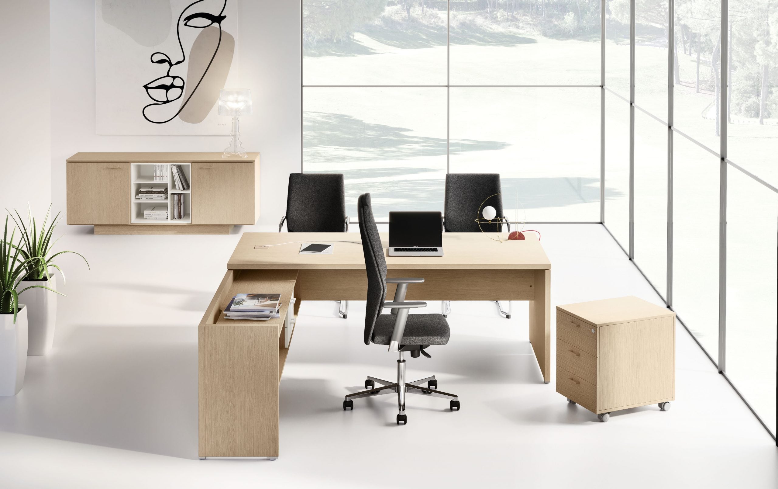 Birou Directorial Delta