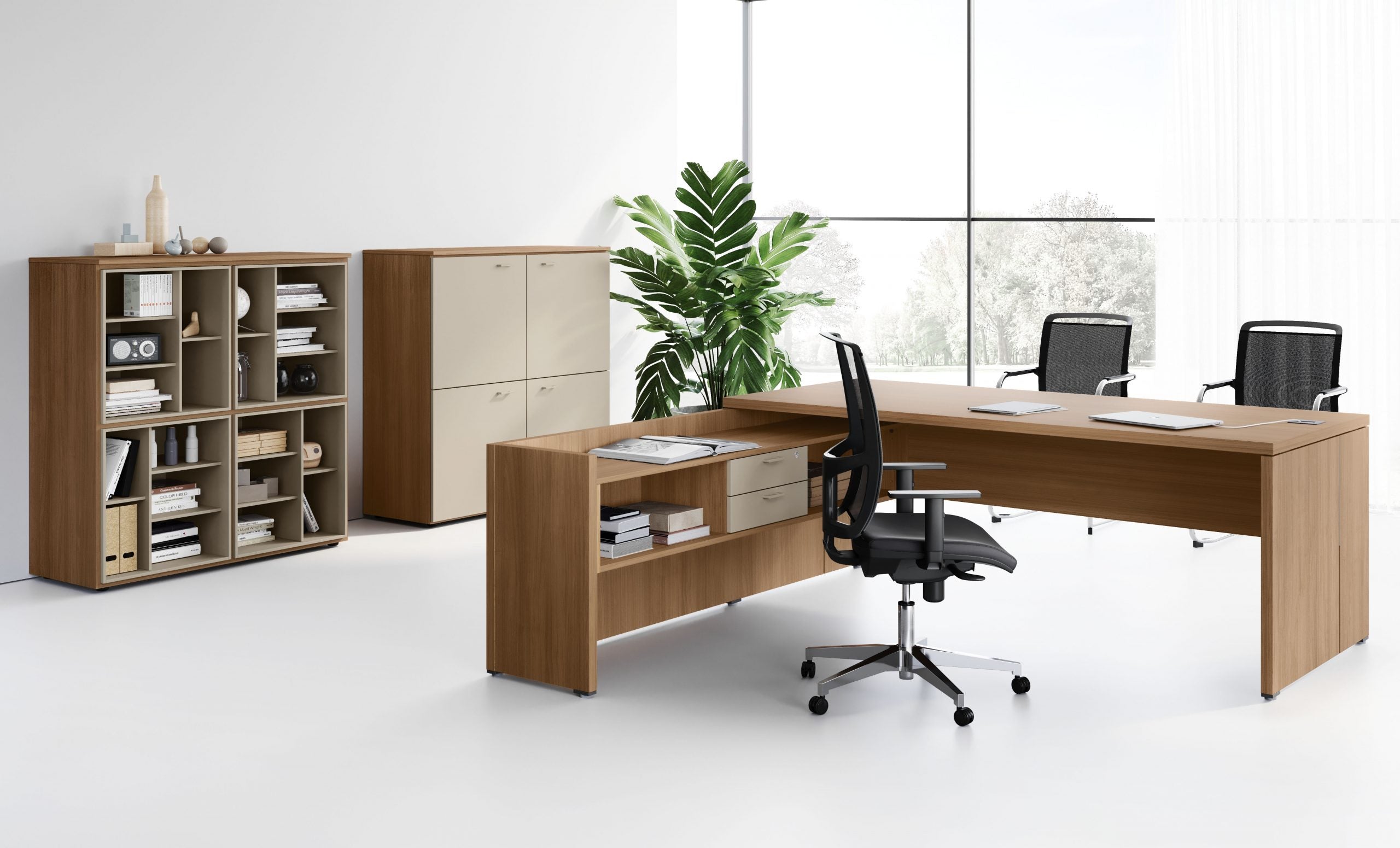 Birou Directorial Delta