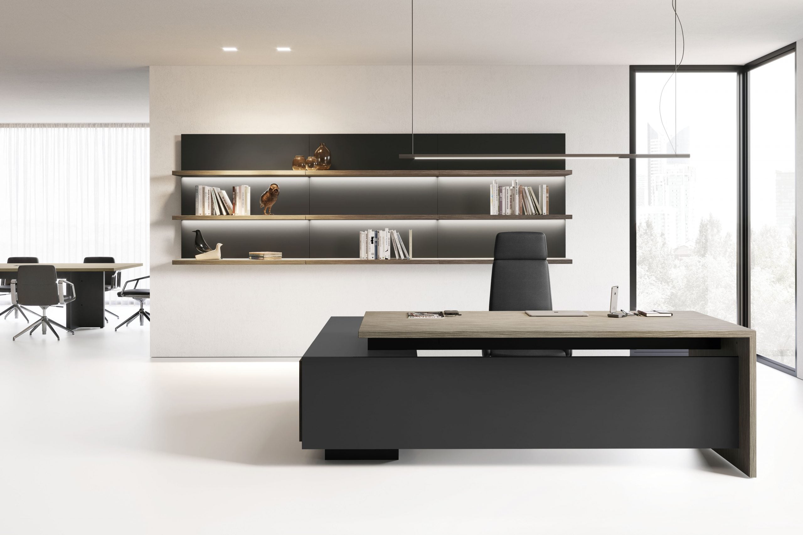 Birou Directorial Elite