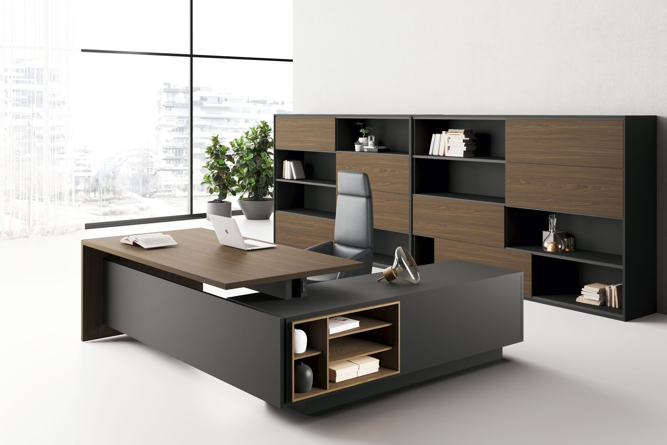 Birou Directorial Elite