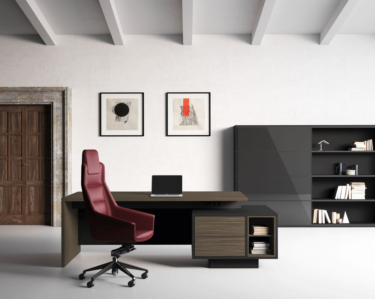 Birou Directorial Elite