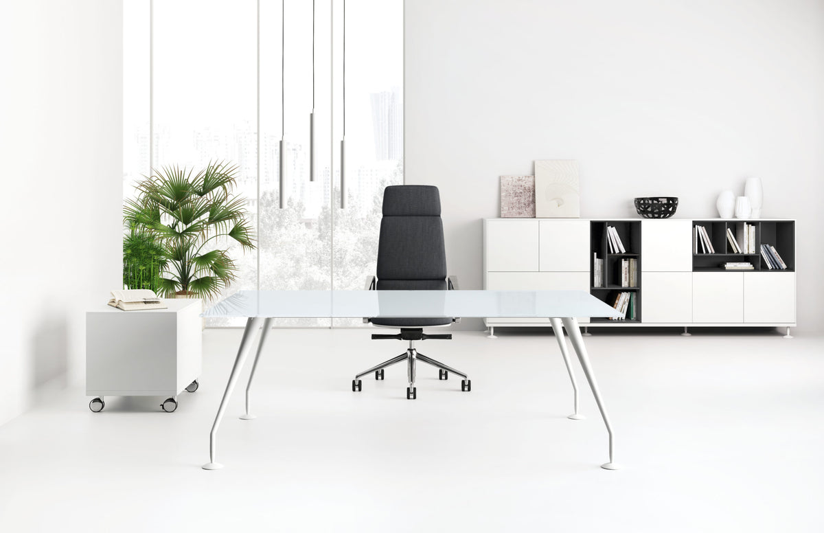 Birou Directorial Enosi