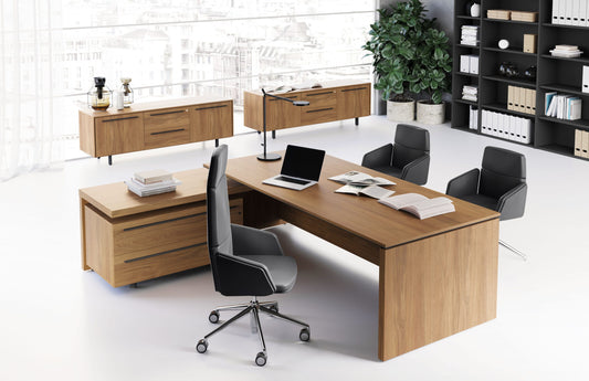 Birou Directorial EOS