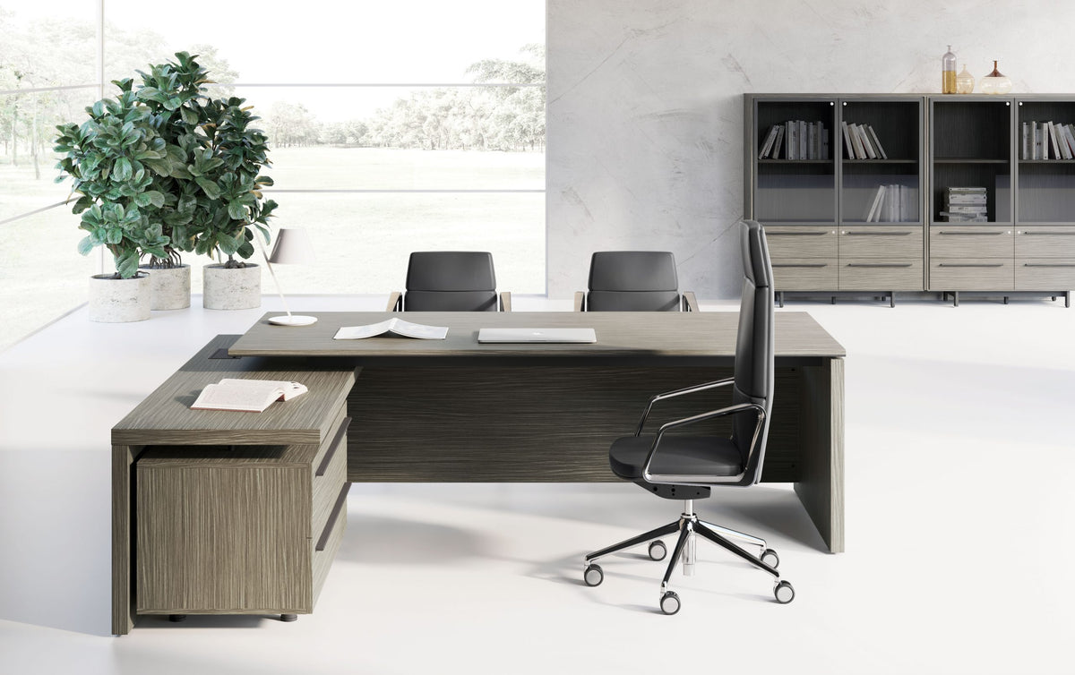 Birou Directorial EOS