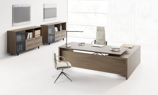 Birou Directorial EOS