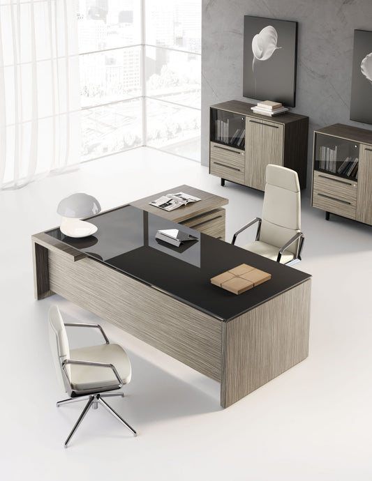 Birou Directorial EOS