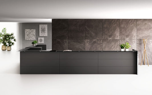 Birou Recepectie Nice