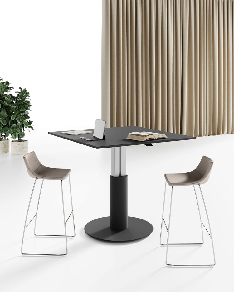 Masa de intalniri Seguo