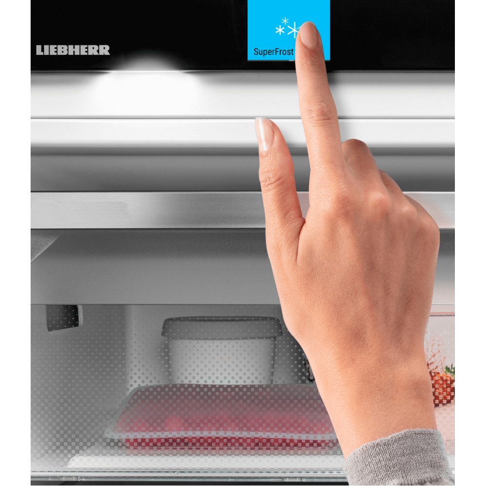 Congelator Liebherr SFNstd 529i