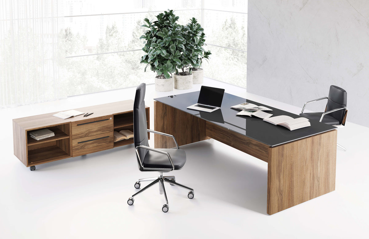 Birou Directorial EOS