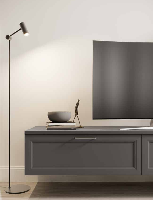 COMPOZITIE DE LIVING AS 102