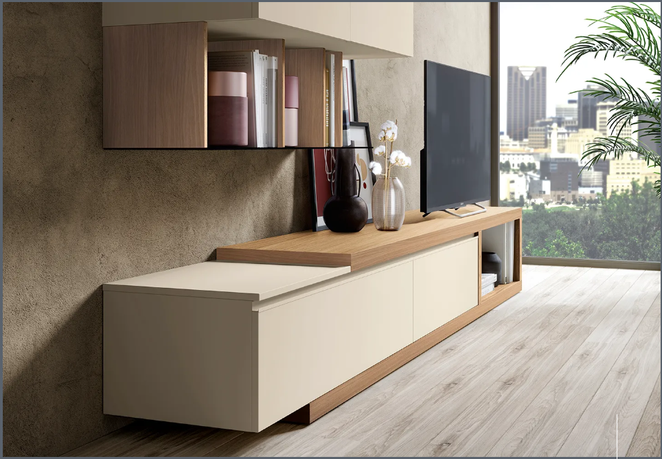 COMPOZITIE DE LIVING L101