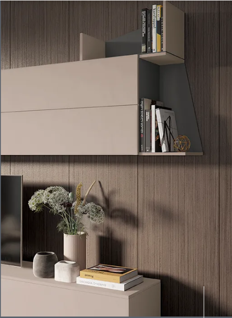 COMPOZITIE DE LIVING L107