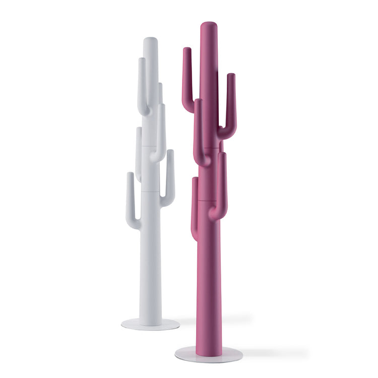 Cuier Desert