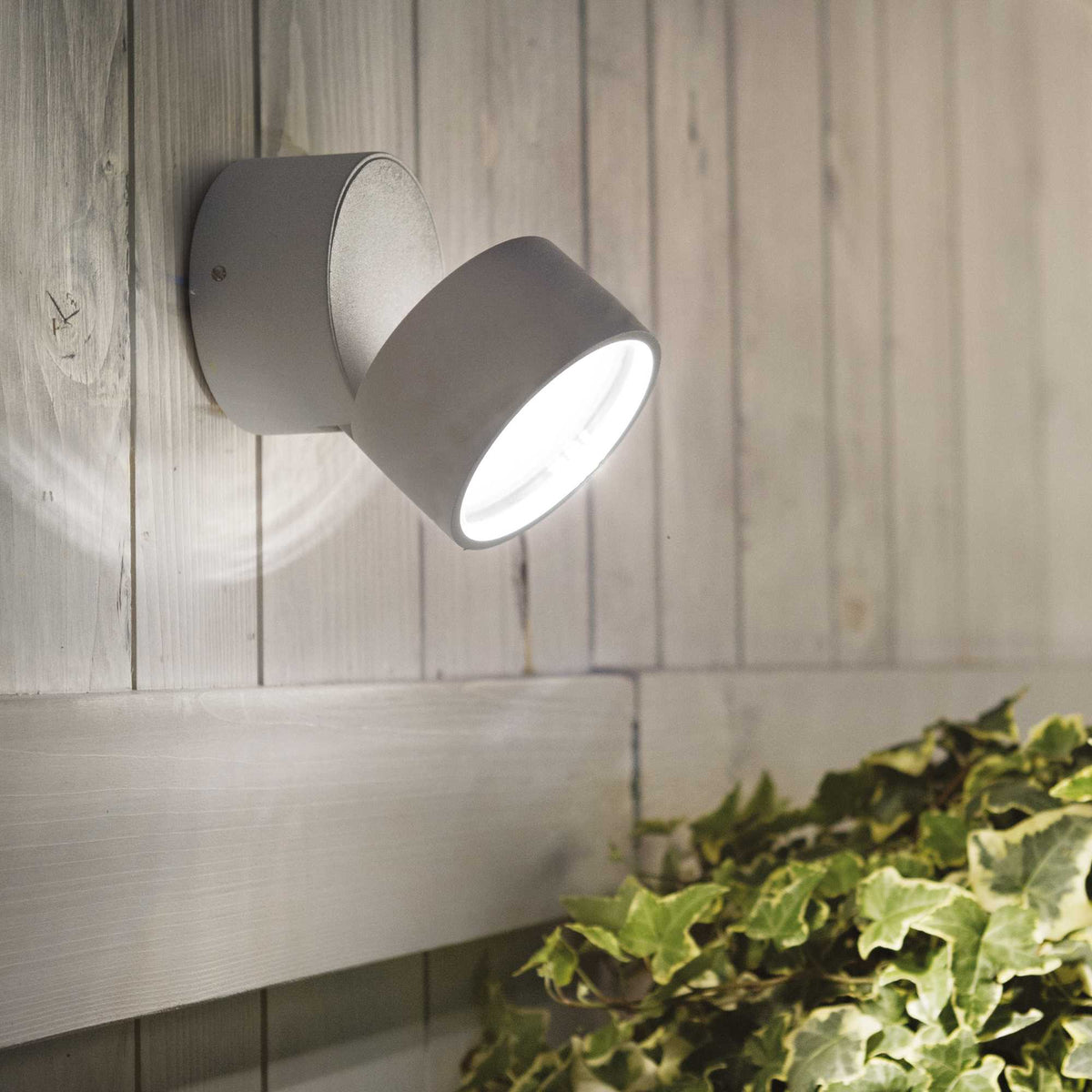 APLICA OMEGA AP ROUND/EXTERIOR