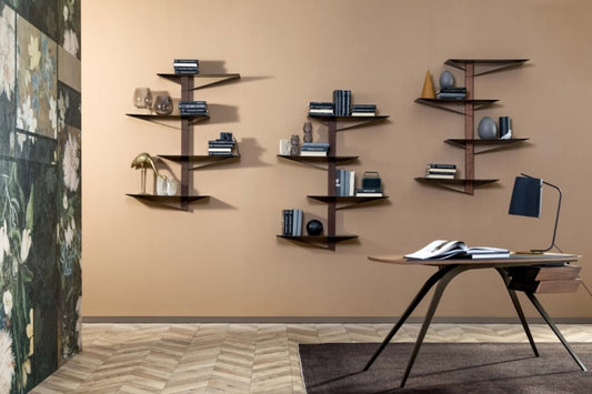 Biblioteca Albatros