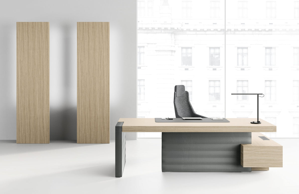 Birou Directorial Jera