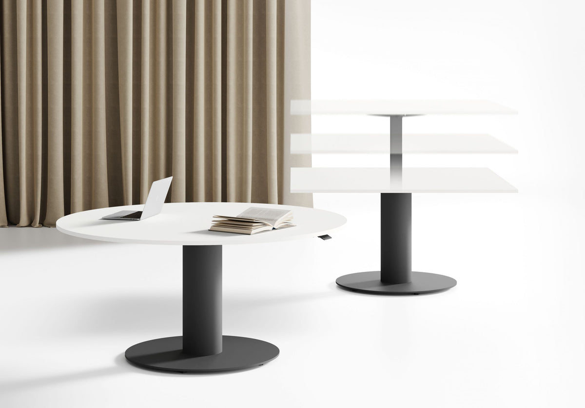 Masa de intalniri Seguo